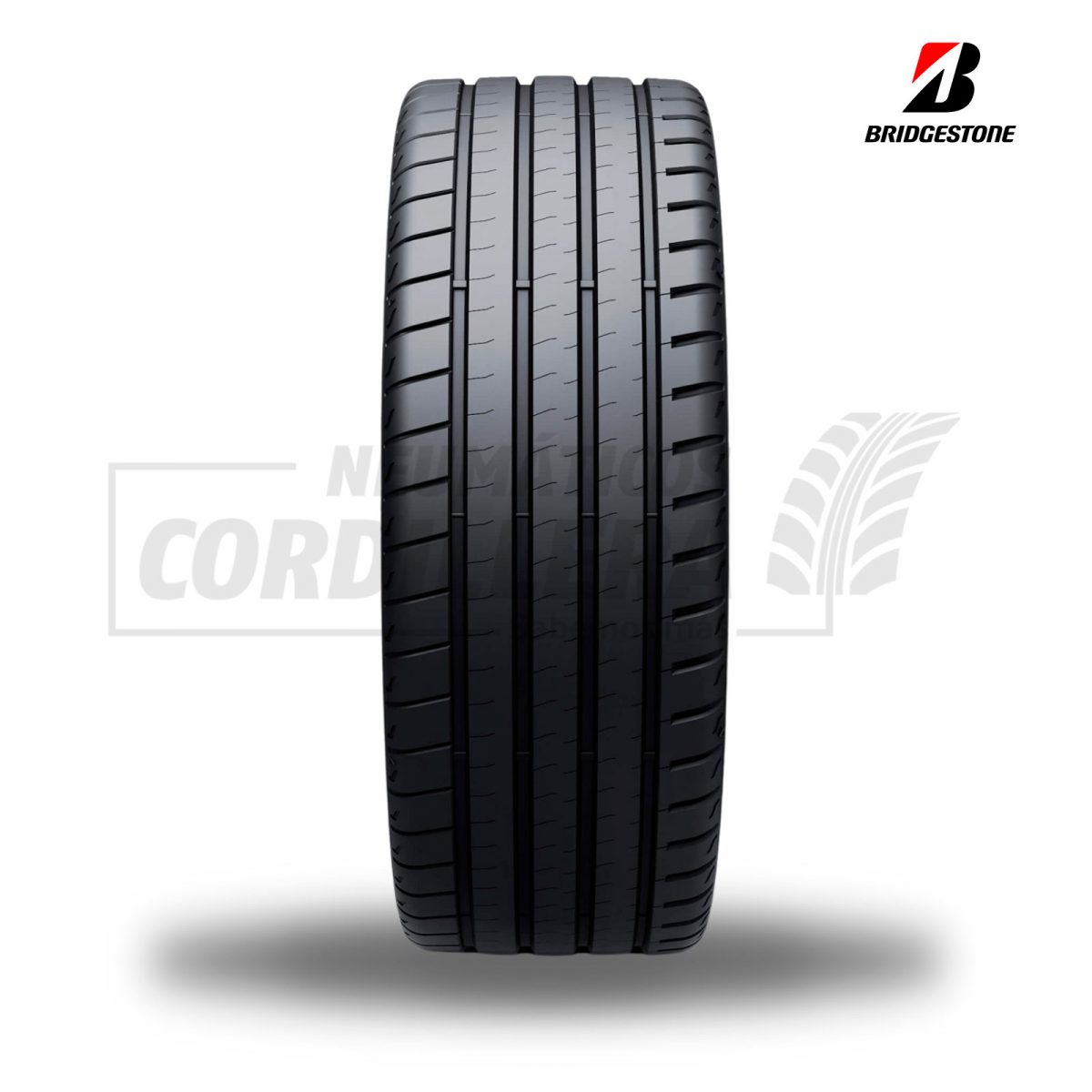 255/35R19  BRIDGESTONE POTENZA SPORT  . Y-96/ XL  EUROPA - Imagen 3