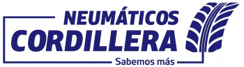 neumaticoslogo